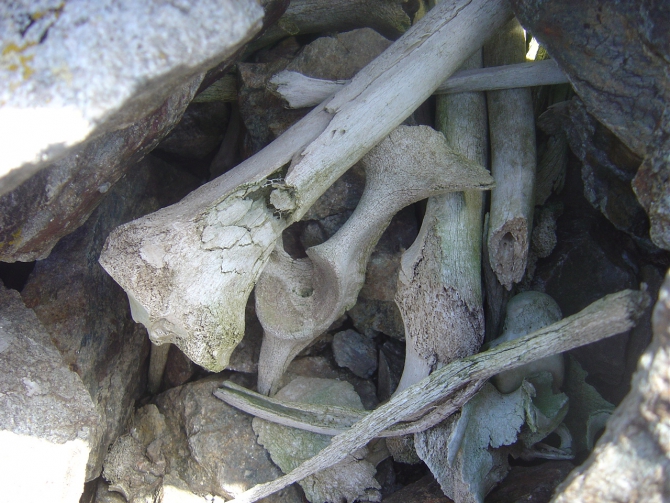 Давайте, ещё раз вспомним...