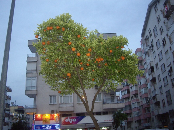 Турция. Ликийская тропа. Апрель 2014. (Путешествия)