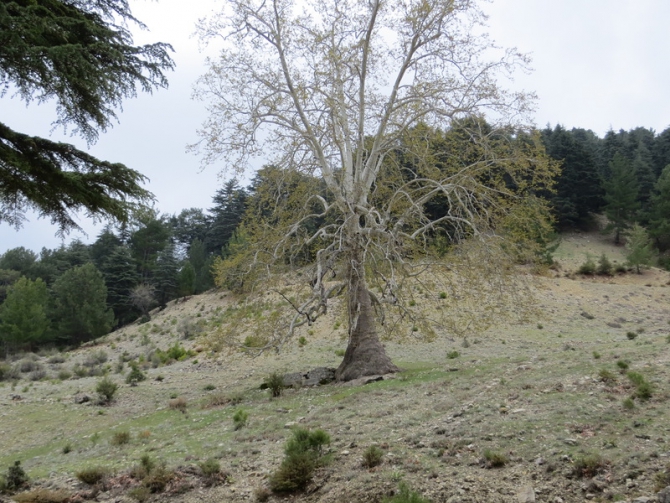 Турция. Ликийская тропа. Апрель 2014. (Путешествия)