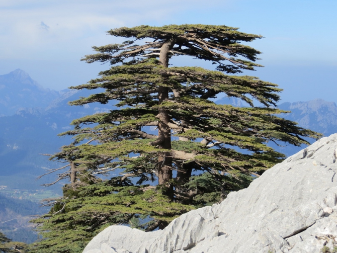 Турция. Ликийская тропа. Апрель 2014. (Путешествия)