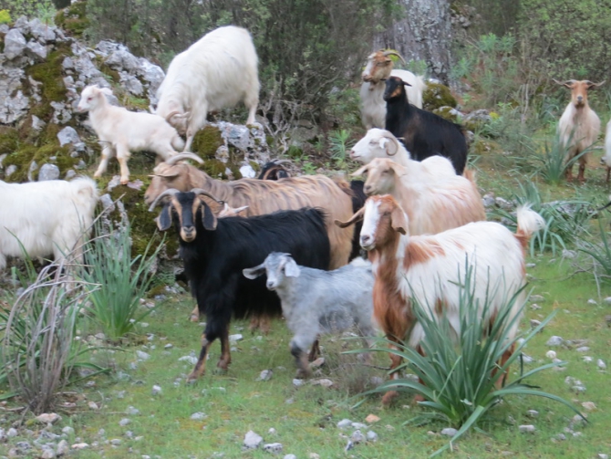 Турция. Ликийская тропа. Апрель 2014. (Путешествия)