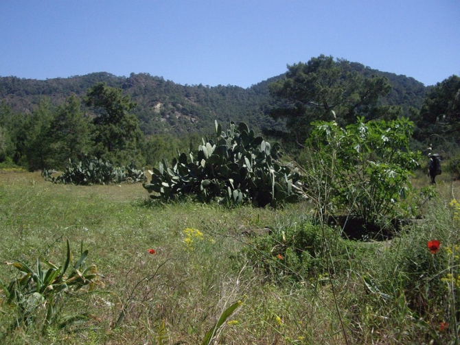 Турция. Ликийская тропа. Апрель 2014. (Путешествия)