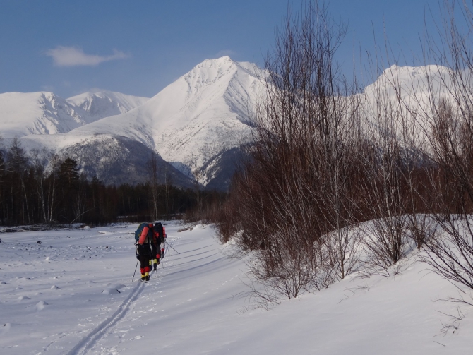 Кофе с Молоконом (стеклянная лента, байкал)