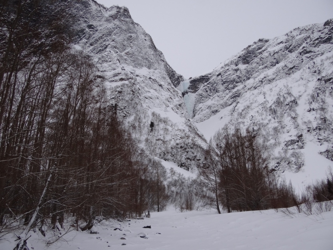 Кофе с Молоконом (стеклянная лента, байкал)