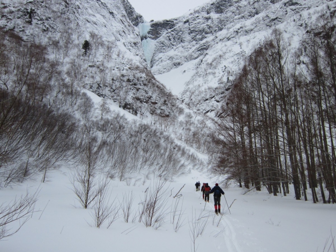 Кофе с Молоконом (стеклянная лента, байкал)