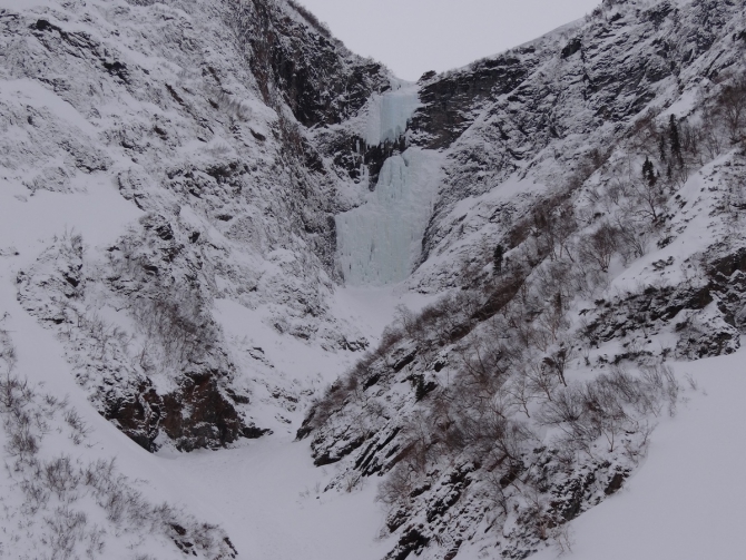 Кофе с Молоконом (стеклянная лента, байкал)