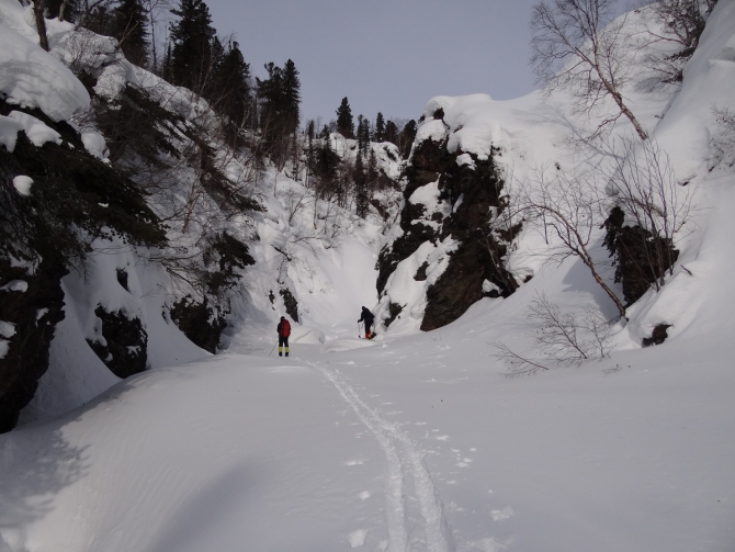 Кофе с Молоконом (стеклянная лента, байкал)