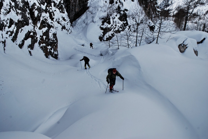 Кофе с Молоконом (стеклянная лента, байкал)