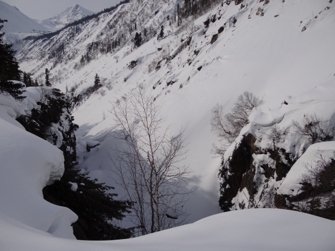 Кофе с Молоконом (стеклянная лента, байкал)