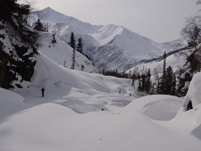 Кофе с Молоконом (стеклянная лента, байкал)