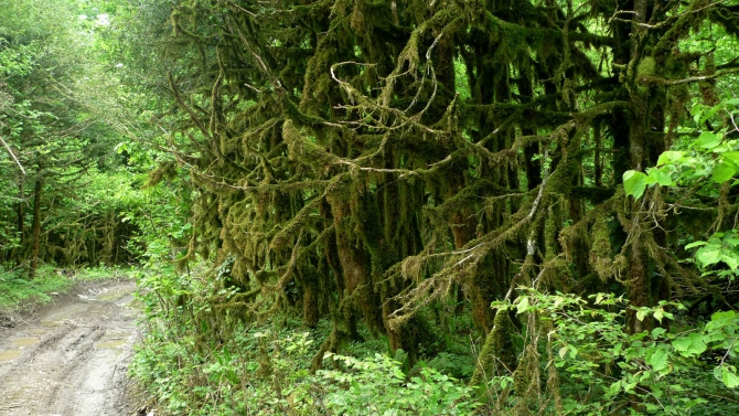 Сказ о том, как мы мочили новичков в районе Фишта на майские праздники. (Горный туризм, новый афон, мамдзышха, марьино, псезуапсе, перевал грачевский, перевал майкопский, пшехо-су, плато лаганаки, гуамка)