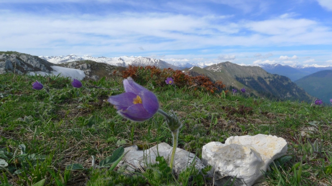 Сказ о том, как мы мочили новичков в районе Фишта на майские праздники. (Горный туризм, новый афон, мамдзышха, марьино, псезуапсе, перевал грачевский, перевал майкопский, пшехо-су, плато лаганаки, гуамка)