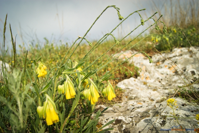 Очередные ветеранские состязания в Бахчисарае (Скалолазание)