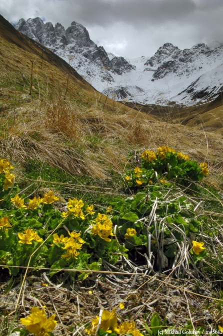 Прогулки в Грузии у Казбека на майские'2014. Фоторассказ (Горный туризм, горы, кавказ, грузия, приказбечье, фотография, тбилиси, кахетия)