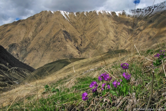 Прогулки в Грузии у Казбека на майские'2014. Фоторассказ (Горный туризм, горы, кавказ, грузия, приказбечье, фотография, тбилиси, кахетия)