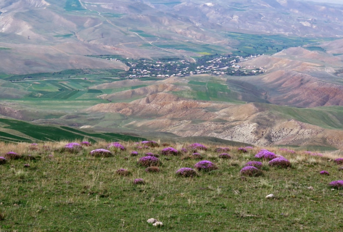 Фрифлай в Армении / полеты с видом на Арарат, Арагац, Апаран, Атис... (фоторепорт, Воздух, парапланеризм, алекс кузмицкий, армения, маршрутные полеты, антон балицкий, закавказье, free-fly)