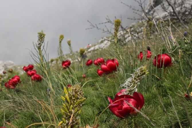 Остров Крым в апреле 2014 (Альпинизм, школа альпинизма, обучение, нефедов, сергей, интенсивный курс, bigwall+ито, морчека, длс, бровь, центр, змейка, рукопись, мачомбо)