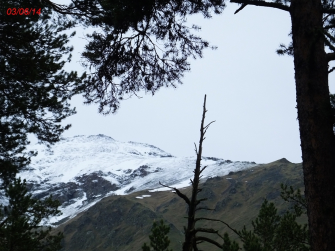 Иткол. (ипик иткол, приэльбрусье)