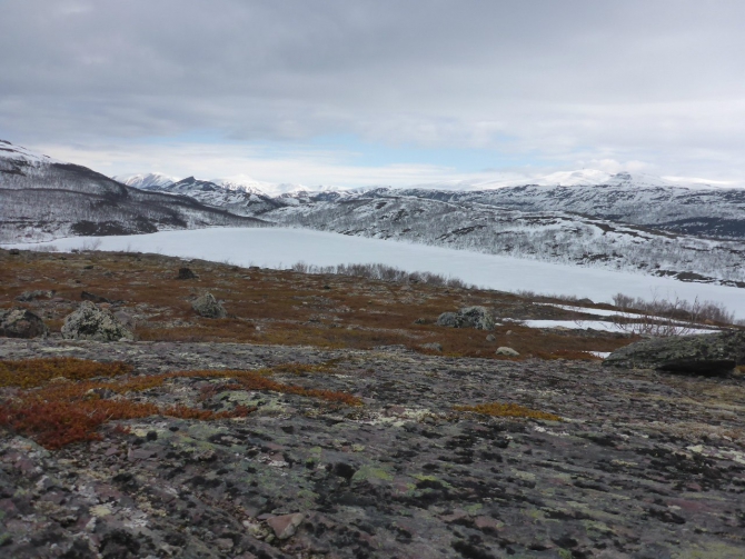 Полярная Норвегия на велосипеде: сентябрь и май (велопоход, тундра, заполярье, север)