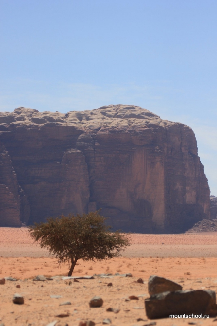 Иордания: Вади Рам, Петра, Акаба. Альпинизм и не только. (школа, веденин)