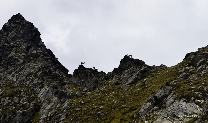 Сольная песня от Теберды до Хурзука. Часть первая, текстовая. (Горный туризм, кавказ, беляева, джалпаккол, узункол, шумка, теберда)