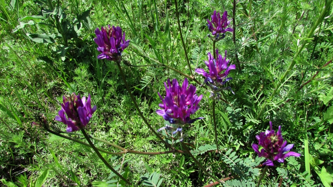 Былымские озёра, и окрестности. (баксанское ущелье)