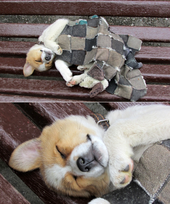 В Адыл-су. (приэльбрусье, джантуган, шхельда)