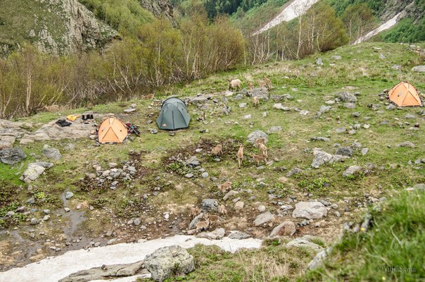 Ski-tour с турами 27-30.05.2014 Домбай (Скайраннинг, ски-тур, софруджу, губанов роман, поход)