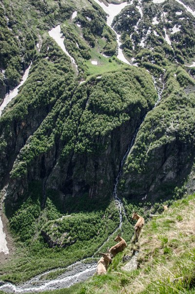 Ski-tour с турами 27-30.05.2014 Домбай (Скайраннинг, ски-тур, софруджу, губанов роман, поход)