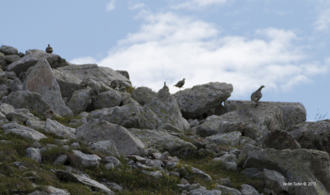 Сольная песня от Теберды до Хурзука. Часть вторая, фотографическая. (Горный туризм, узункол, беляева, кчр, эльбрус, даут)