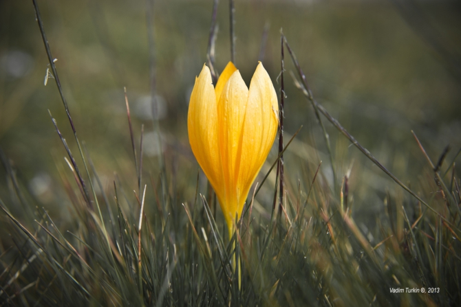Сольная песня от Теберды до Хурзука. Часть вторая, фотографическая. (Горный туризм, узункол, беляева, кчр, эльбрус, даут)