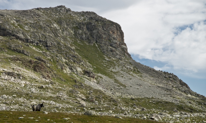 Сольная песня от Теберды до Хурзука. Часть вторая, фотографическая. (Горный туризм, узункол, беляева, кчр, эльбрус, даут)