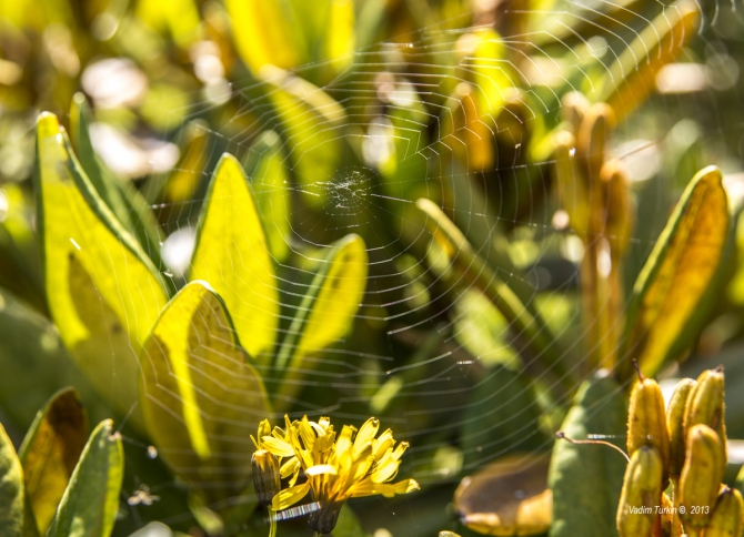 Сольная песня от Теберды до Хурзука. Часть вторая, фотографическая. (Горный туризм, узункол, беляева, кчр, эльбрус, даут)