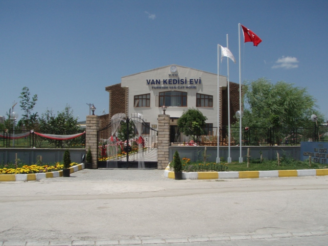 Восхождение на Арарат 9 – 17 июля 2012 года (Альпинизм, пермит на арарат, ноев ковчег, остров ахтамар, руины ани, дворец исхак-паши)