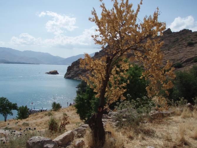 Восхождение на Арарат 9 – 17 июля 2012 года (Альпинизм, пермит на арарат, ноев ковчег, остров ахтамар, руины ани, дворец исхак-паши)