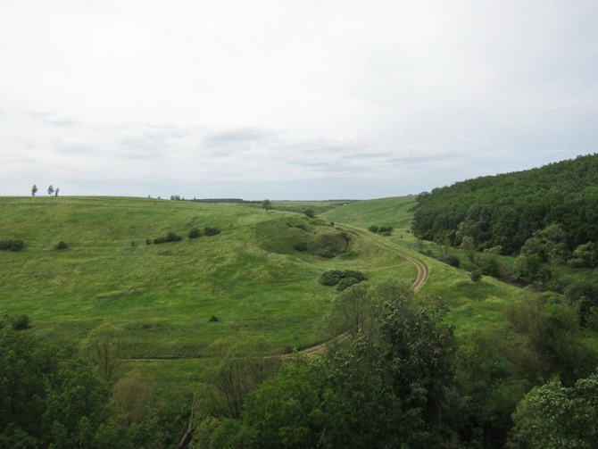 5 ИЮЛЯ СТАРТУЕТ VI МУЛЬТИСПОРТИВНАЯ ГОНКА "NIKITA ADVENTURE RACE" (Мультигонки, никита башмаков, липецкая область)