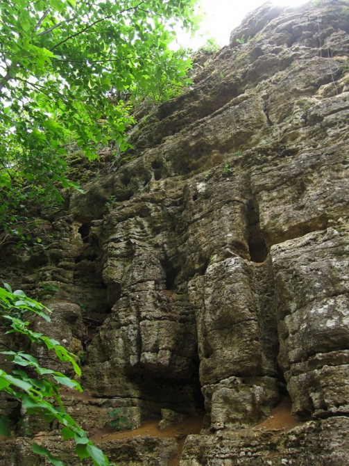 5 ИЮЛЯ СТАРТУЕТ VI МУЛЬТИСПОРТИВНАЯ ГОНКА "NIKITA ADVENTURE RACE" (Мультигонки, никита башмаков, липецкая область)