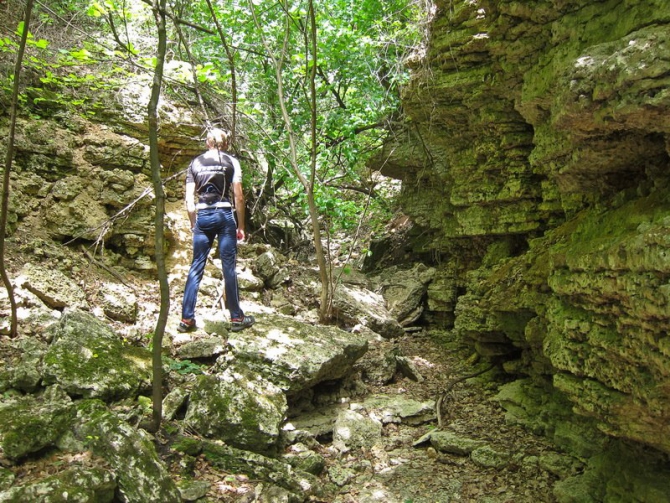 5 ИЮЛЯ СТАРТУЕТ VI МУЛЬТИСПОРТИВНАЯ ГОНКА "NIKITA ADVENTURE RACE" (Мультигонки, никита башмаков, липецкая область)