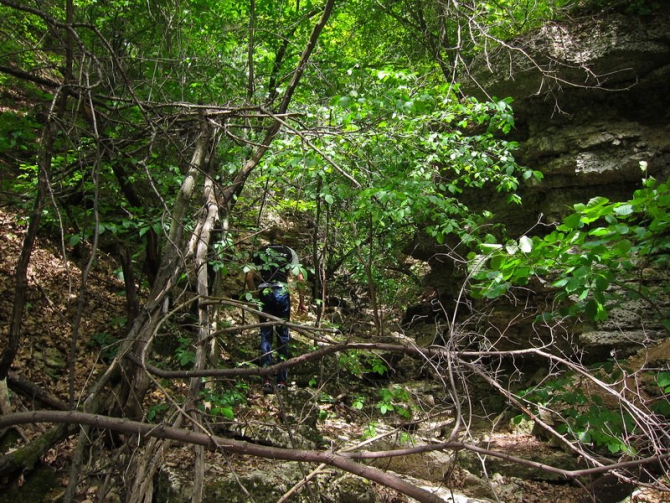 5 ИЮЛЯ СТАРТУЕТ VI МУЛЬТИСПОРТИВНАЯ ГОНКА "NIKITA ADVENTURE RACE" (Мультигонки, никита башмаков, липецкая область)