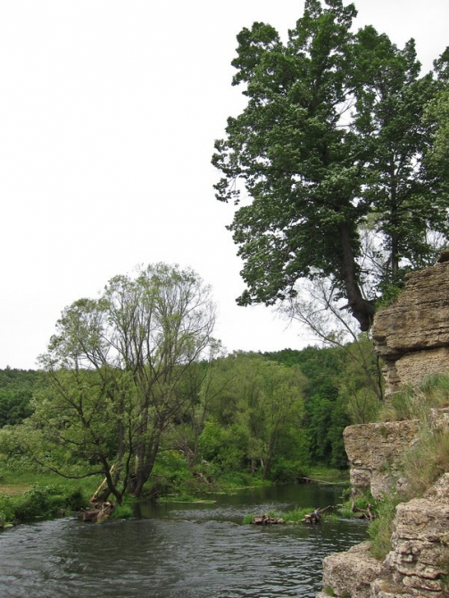 5 ИЮЛЯ СТАРТУЕТ VI МУЛЬТИСПОРТИВНАЯ ГОНКА "NIKITA ADVENTURE RACE" (Мультигонки, никита башмаков, липецкая область)