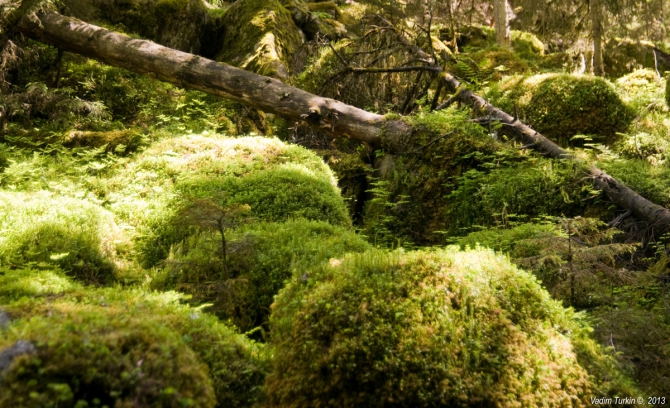 Выходные на Муруджу (Горный туризм)