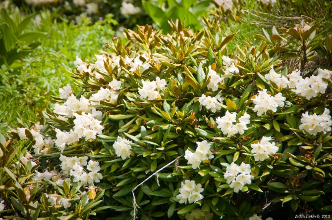 Выходные на Муруджу (Горный туризм)