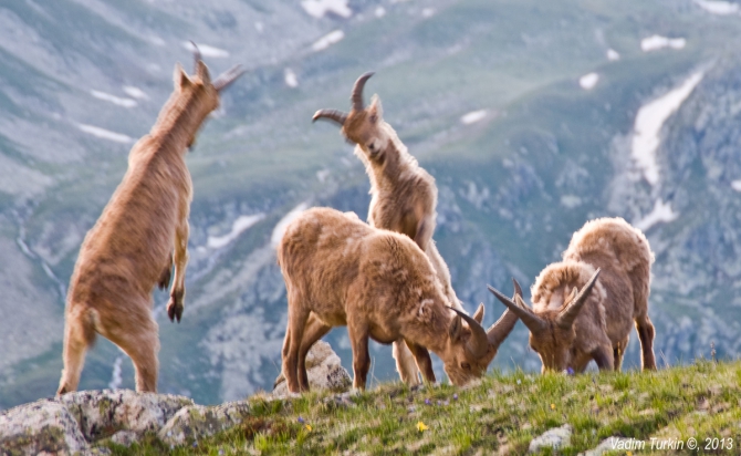 Выходные на Муруджу (Горный туризм)