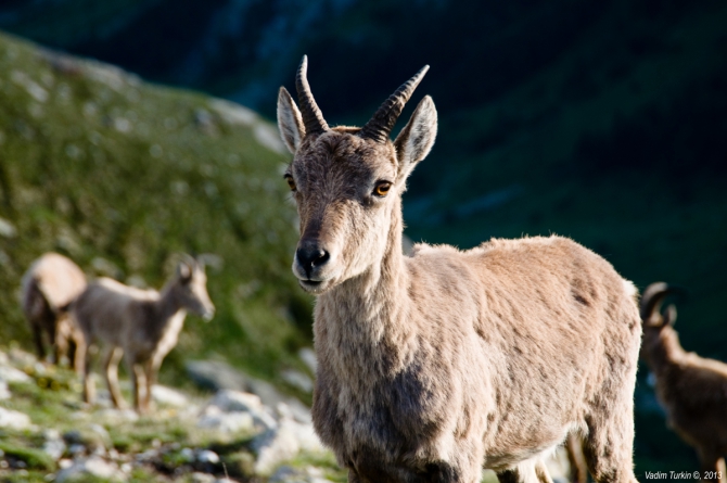 Выходные на Муруджу (Горный туризм)
