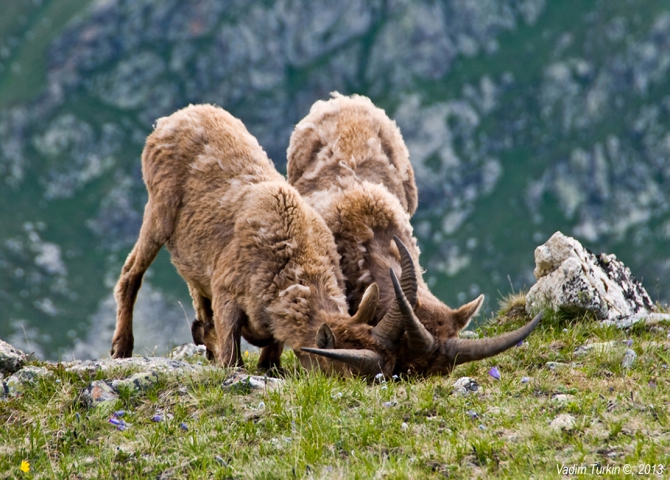 Выходные на Муруджу (Горный туризм)