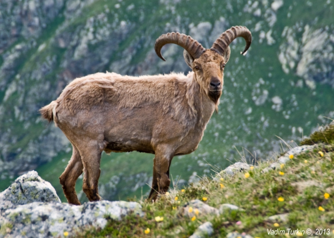 Выходные на Муруджу (Горный туризм)