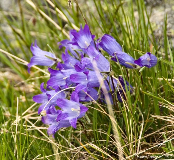 Выходные на Муруджу (Горный туризм)