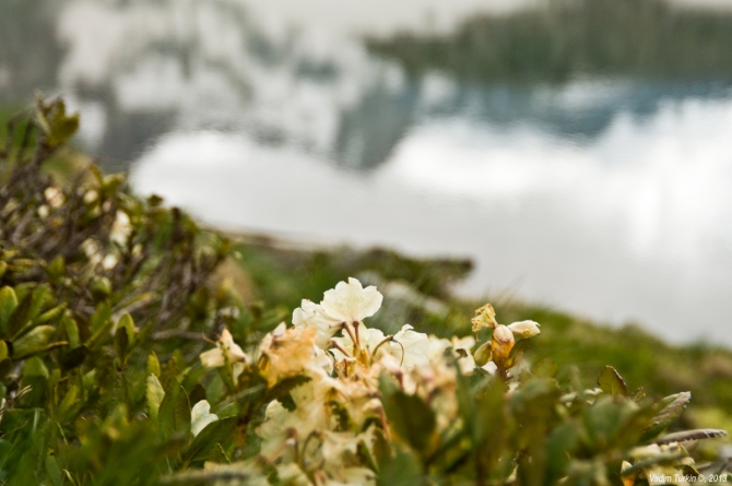 Выходные на Муруджу (Горный туризм)
