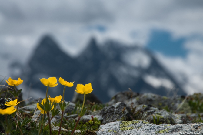 Выходные на Муруджу (Горный туризм)