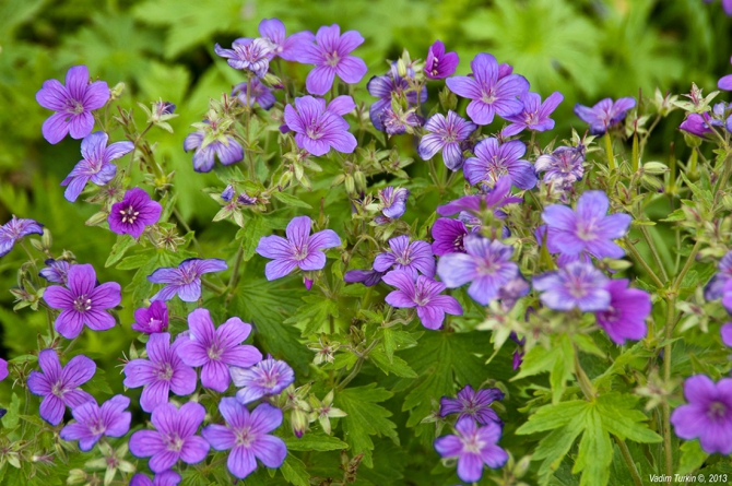 Выходные на Муруджу (Горный туризм)